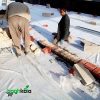 فیلتر بام سبز (10 متر مربع) - Image 2