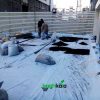 فیلتر بام سبز (10 متر مربع) - Image 9