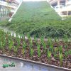 آبیاری قطره ای