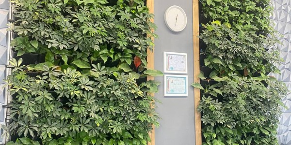 طراحی و اجرا دیوار سبز