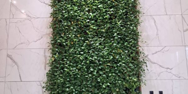 طراحی و اجرا دیوار سبز