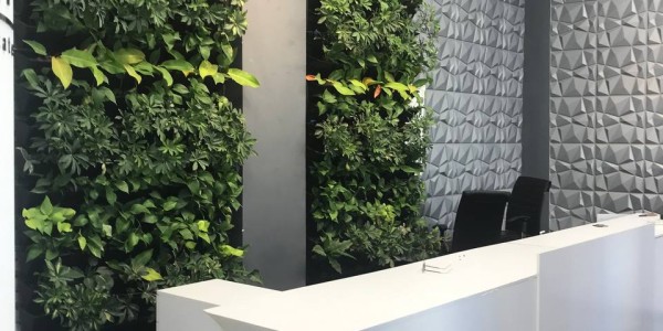 طراحی و اجرا دیوار سبز