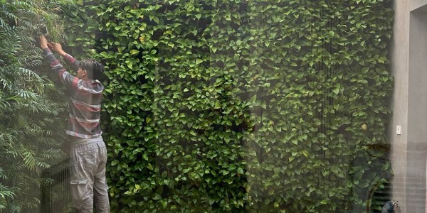 طراحی و اجرا دیوار سبز