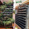 شاسی دیوار سبز 45*58 سانتیمتر (دو عدد) - Image 23