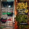 شاسی دیوار سبز 45*58 سانتیمتر (دو عدد) - Image 39