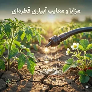 مزایا و معایب آبیاری قطره ای