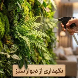 نحوه‌ نگهداری از دیوار سبز یا گرین وال