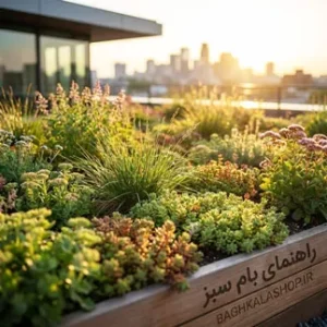 مزایای بام سبز