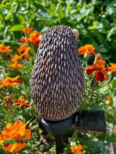 چراغ خورشیدی باغچه
