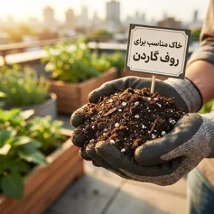 خاک مناسب بام سبز