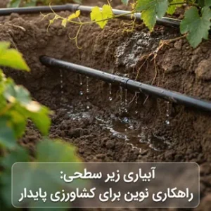 آبیاری زیر سطحی