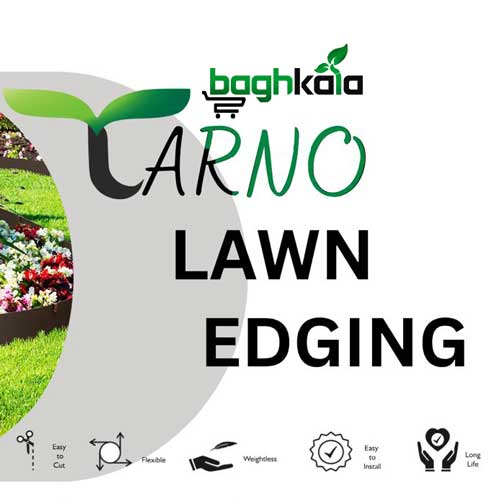 محوطه سازی آسان